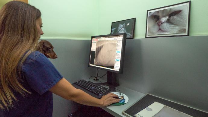 Sala de radiografías Sala de radiografías